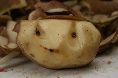 5th April 2008 - Happy potato