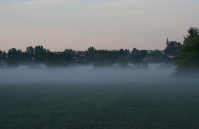 15th June 2008 - Morning fog...