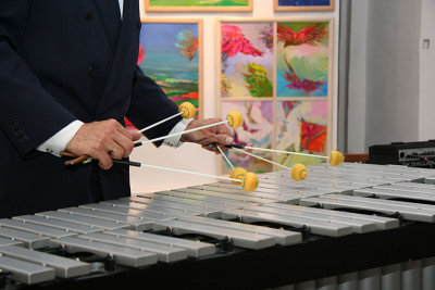 Playing on vibraphone