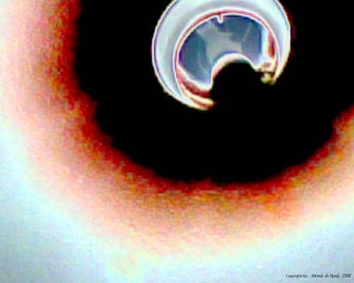 Le tube luminescent  Antonio DE MORAIS  2008.jpg
