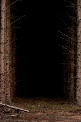 At the end of the tunnel there be light?