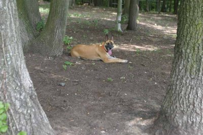 IMG_3828ac.jpg