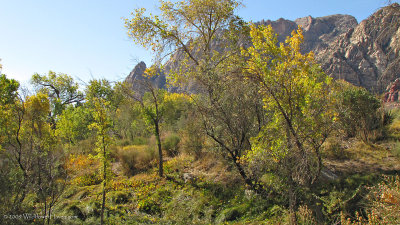 Spring Mountain Ranch State Park - Fall Colors