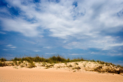 Chincoteague, May 2006