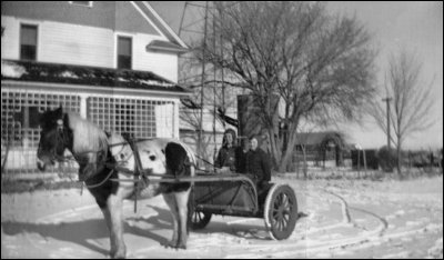 school cart