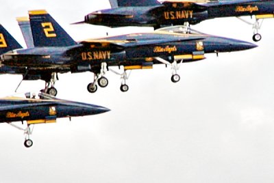 P9220014a.jpg