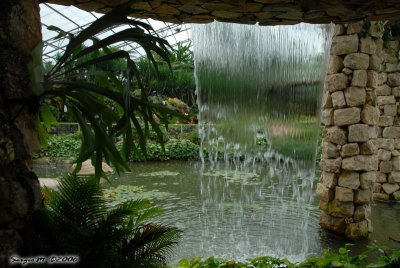 DSC_0002.JPG