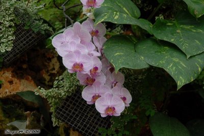 DSC_0015.JPG