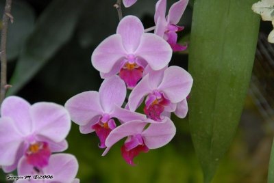 DSC_0017.JPG