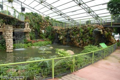 DSC_0020.JPG