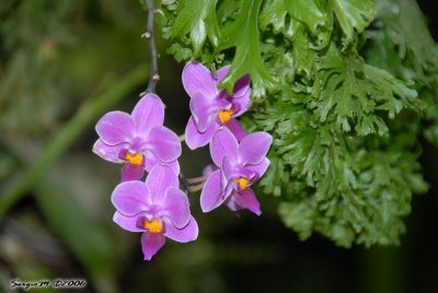 DSC_0026.JPG