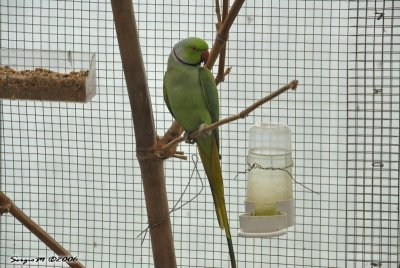 DSC_0045.jpg