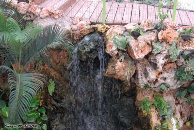 DSC_0052.JPG
