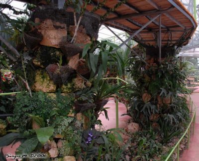 DSC_0064.jpg