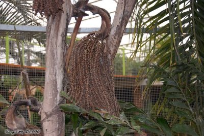 DSC_0067.jpg