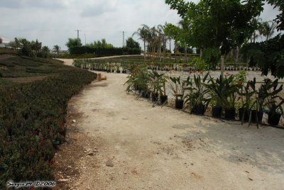 DSC_0102.JPG