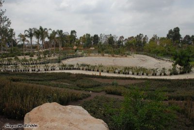 DSC_0104.JPG