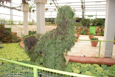 DSC_0125.JPG