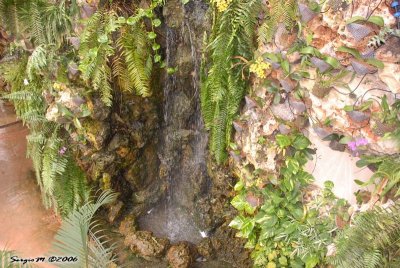 DSC_0134.JPG
