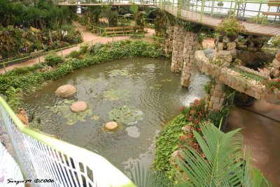 DSC_0135.JPG