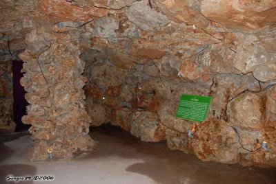 DSC_0155.JPG