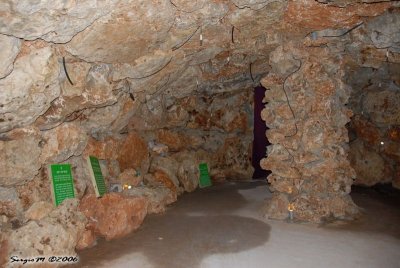 DSC_0156.JPG