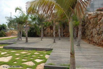 DSC_0158.JPG