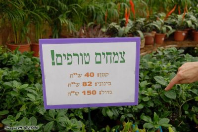 DSC_0176.JPG