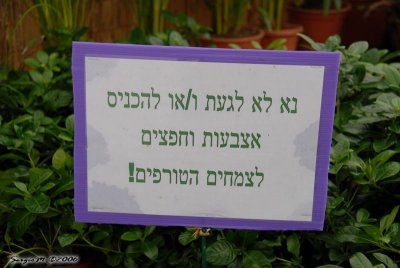 DSC_0179.JPG