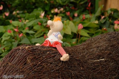 DSC_0193.JPG