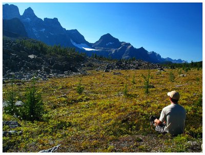 The Goodsirs from Goodsir Pass