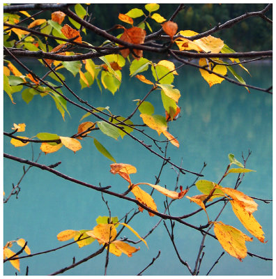 Fall Color at Kinney Lake