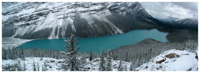 Peyto Lake