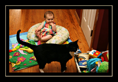 Norah checking out Linus checking out the toys.