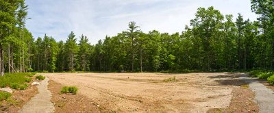 turtle ground pano 3web.jpg