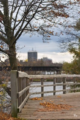 Ann Arbor skyline