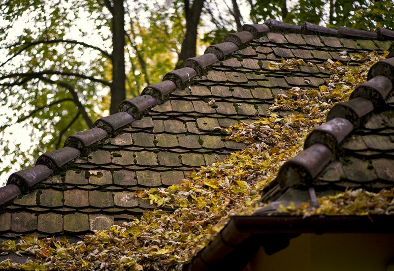 Fall