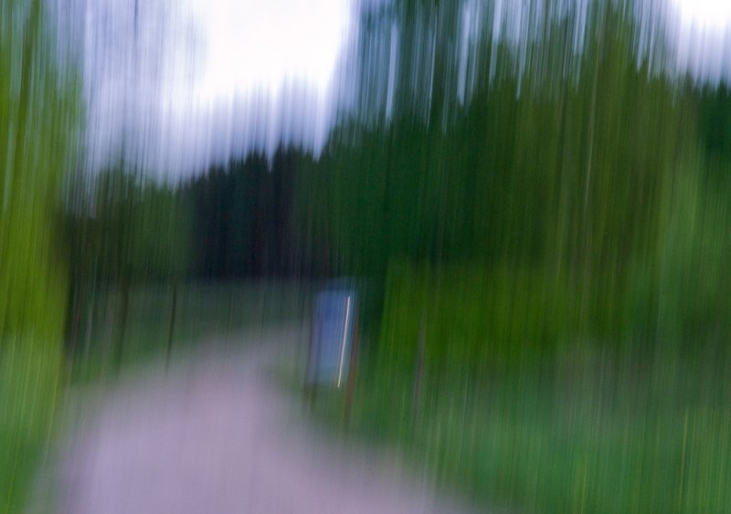 Heather Pathway