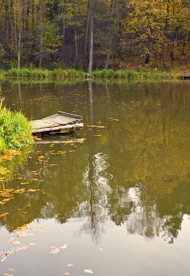 Autumn Scene At The Pond