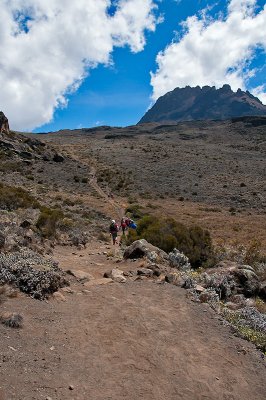 Mawenzi Route