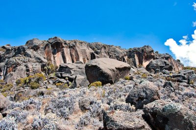 Rocks