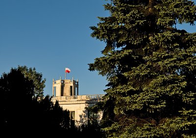 Flag Behind The Trees
