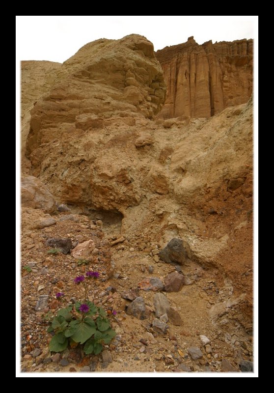 Alone Among the Rocks