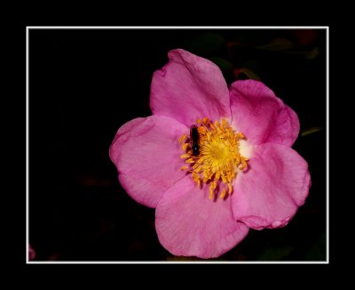 g5/62/657162/3/106327538.9LxSuYM4.jpg