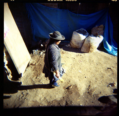 Holga