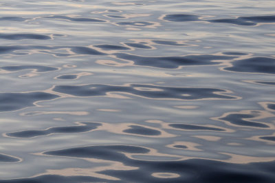 Ocean patterns