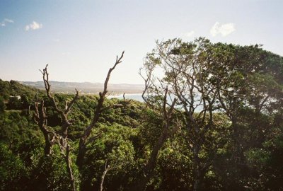 Outback bush.jpg