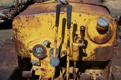 Cat-04.JPG