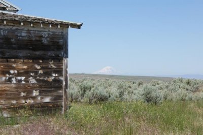 Mt Adams in the background