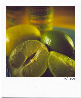 Limes